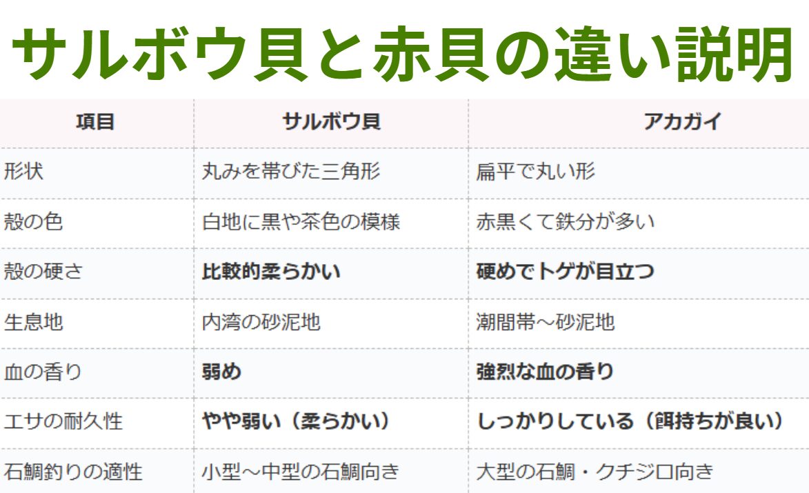 サルボウガイとアカガイの違い説明。石鯛釣り入門。釣太郎