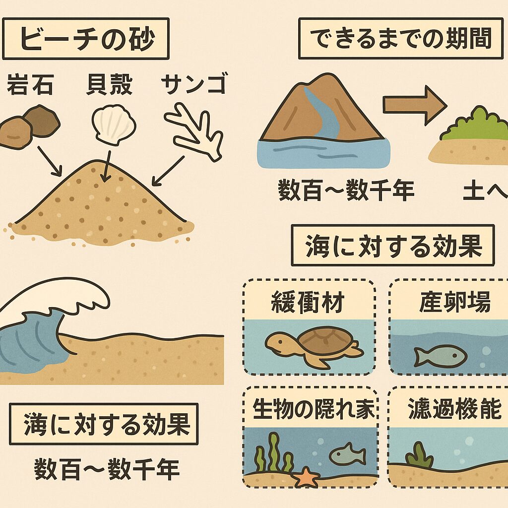 砂浜は数千年かけてできた、海を守る天然の防波堤
~私たちが歩く“ビーチ”の、本当の役割とは?釣太郎