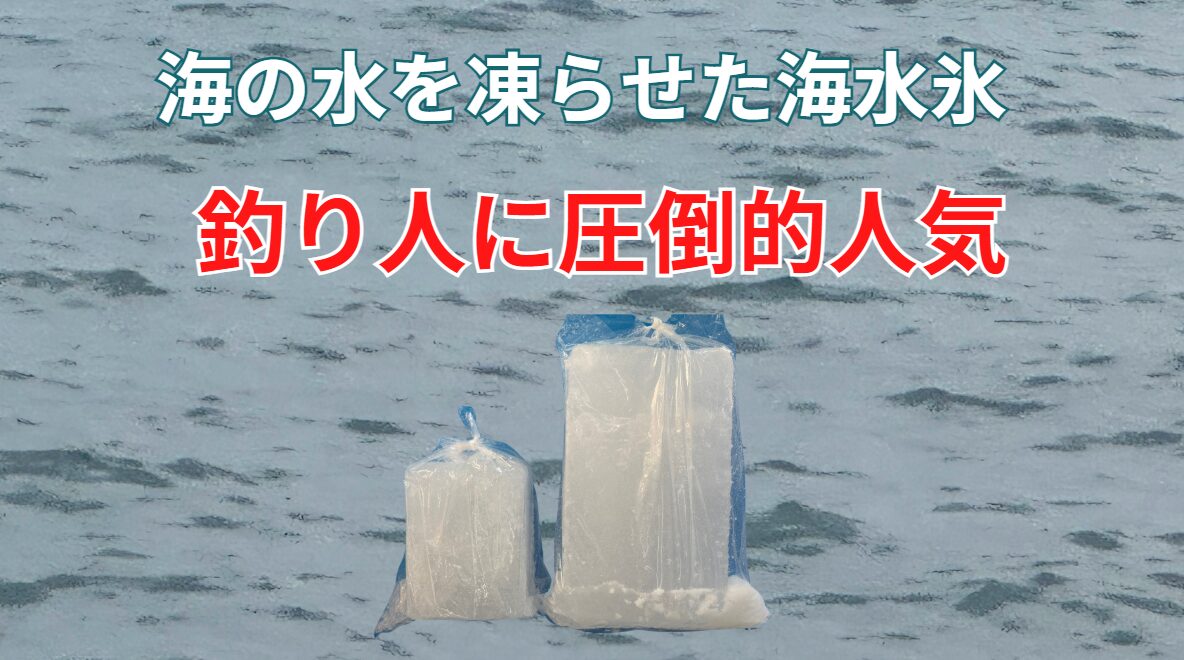 海水氷の活用は、地域の漁業と食文化に新たな価値を生み出します。釣太郎