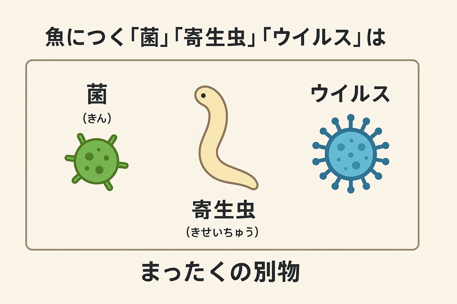 魚の菌・寄生虫・ウイルスは「まったくの別物」釣太郎