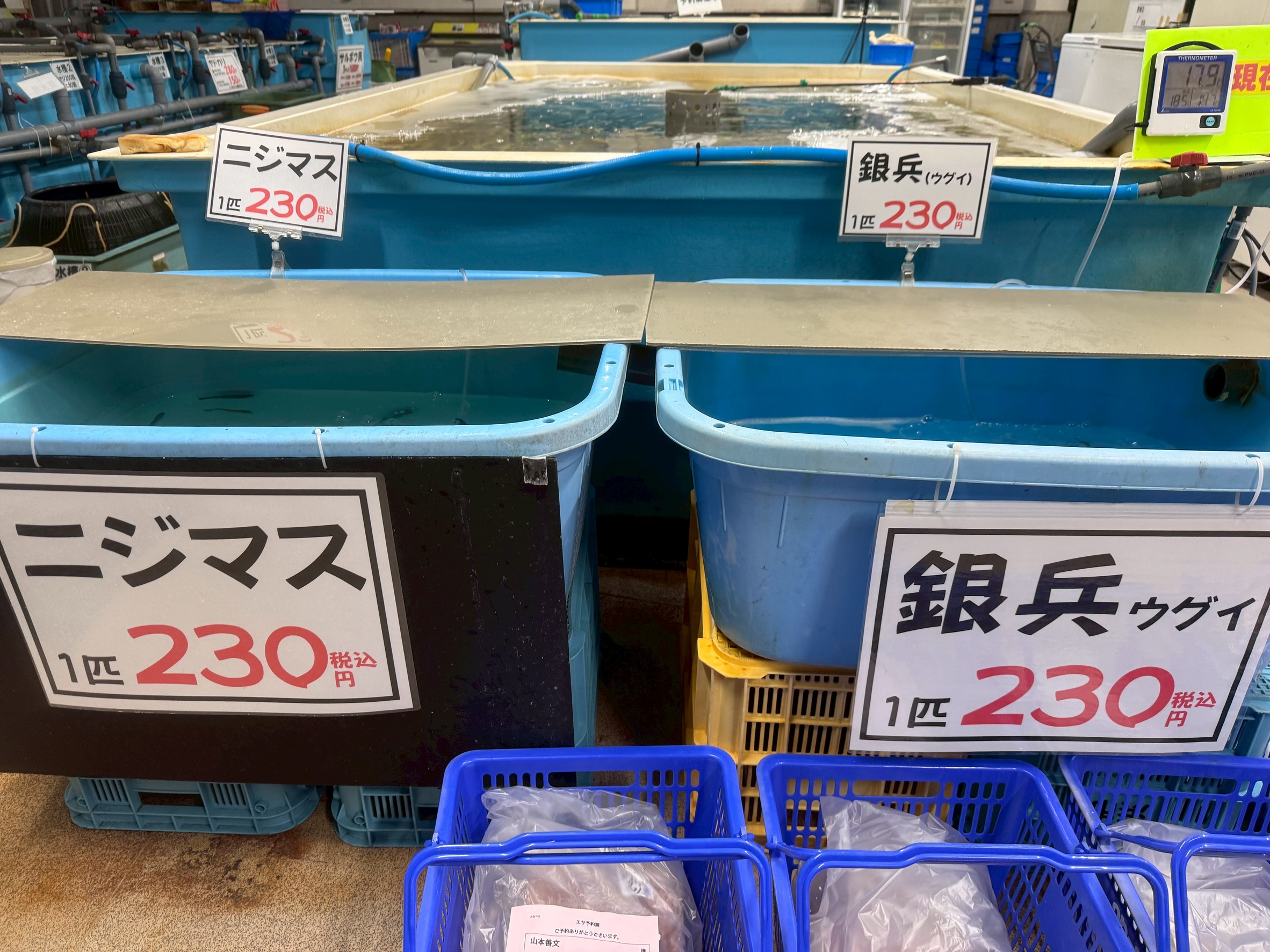 うぐい（銀平）あります。ニジマスはみなべ店限定。釣太郎