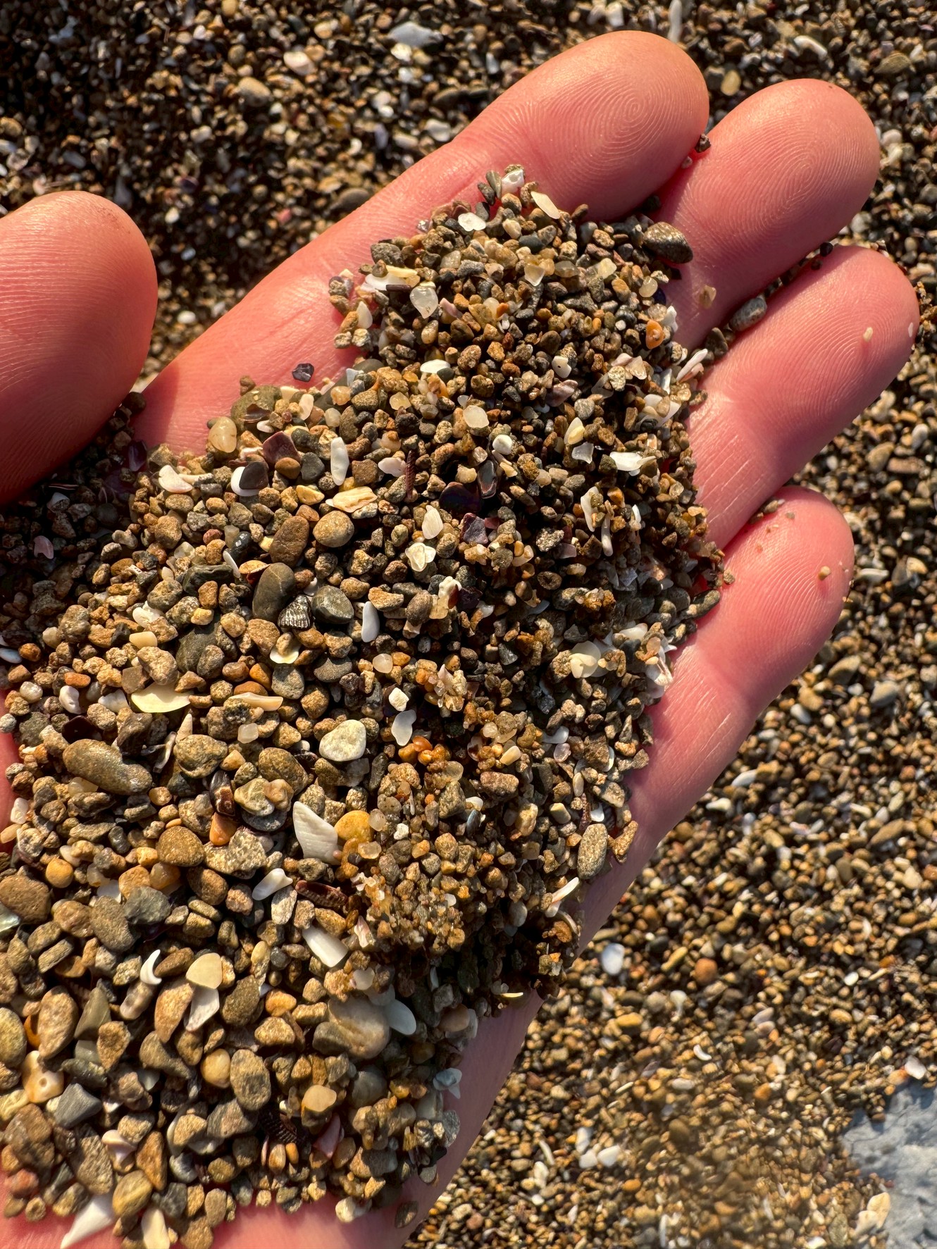 【ビーチの砂は何でできている？】成分・できるまでの期間・海への効果を徹底解説！釣太郎