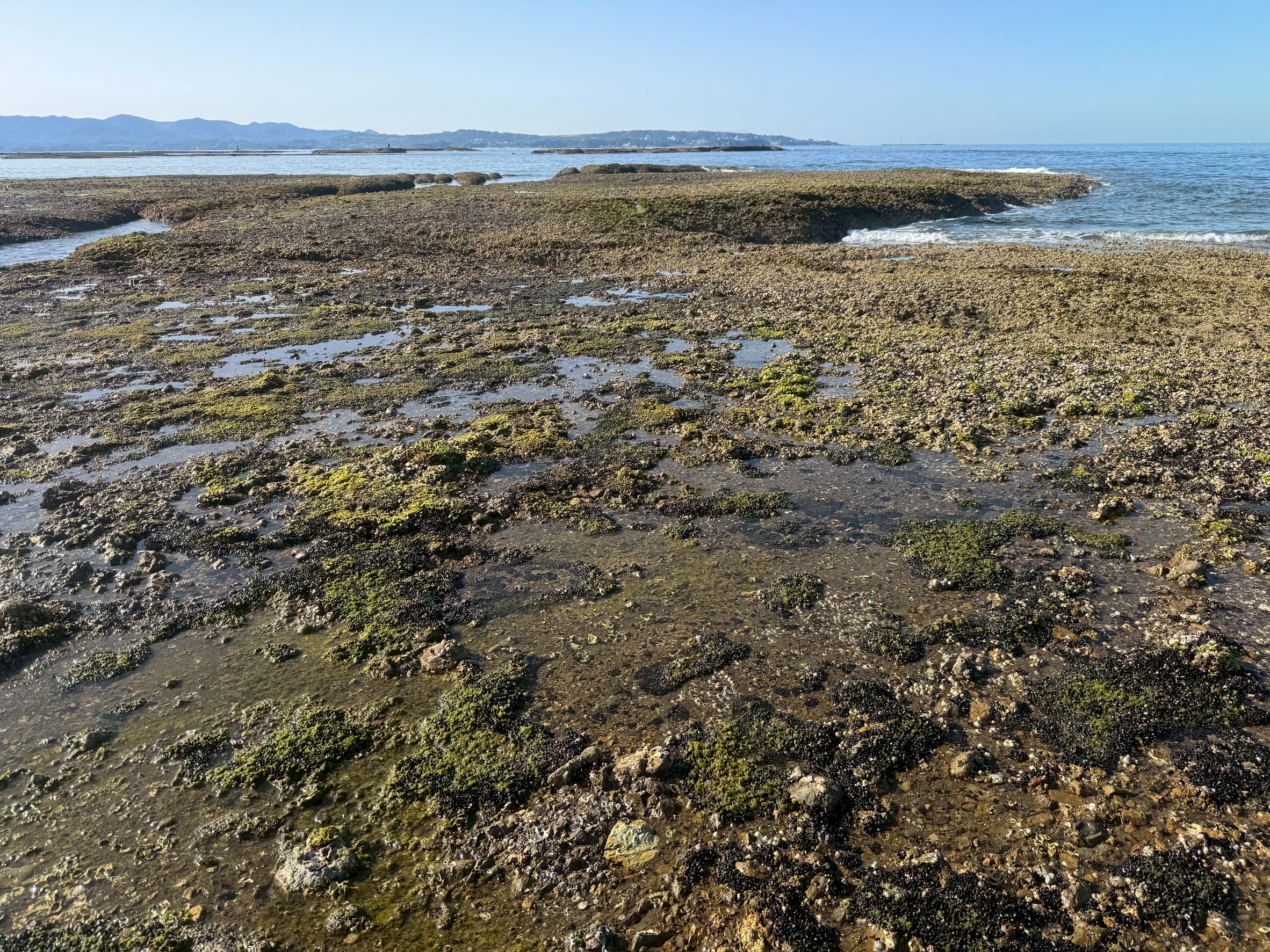 5月あ天気のいい日に磯の上を歩くと、とても気持ちがいい。暑く寒くもなく、海の香りを満喫できる。釣太郎