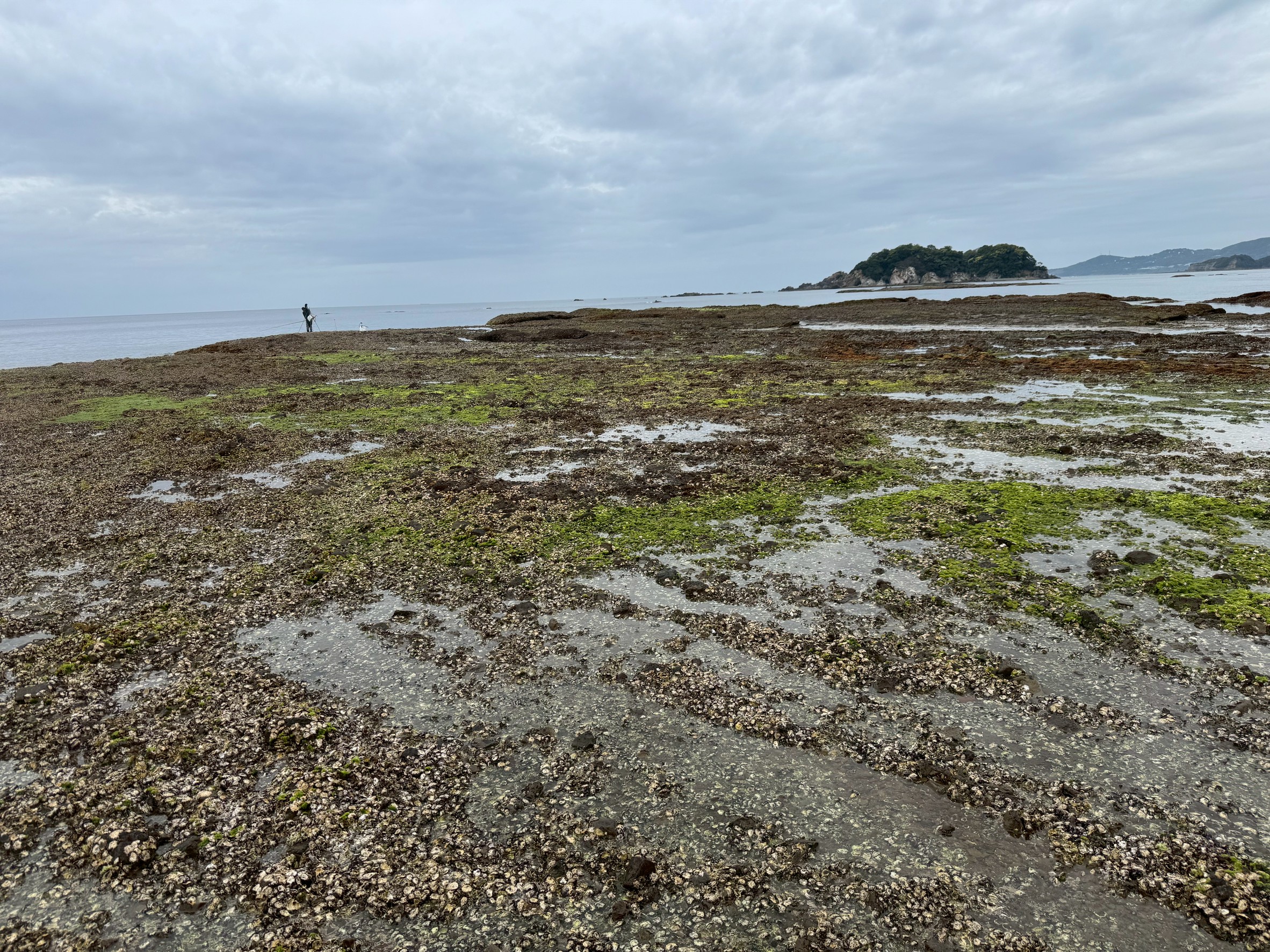 磯の上を歩くのは、とても気持ちがいい。特に満潮時に海につかる磯は生きているかのように生を感じる。釣太郎