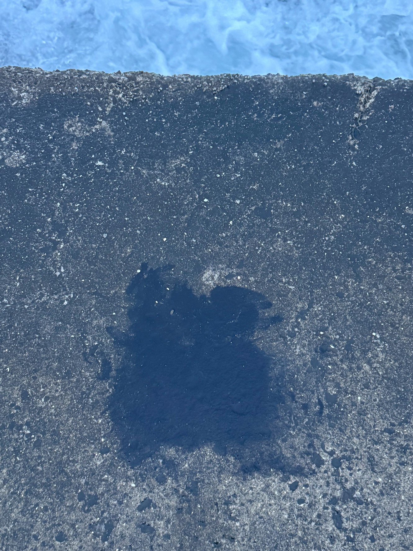 【アオリイカ釣り師必見】堤防に残されたイカスミ跡は“釣果のサイン”!釣太郎