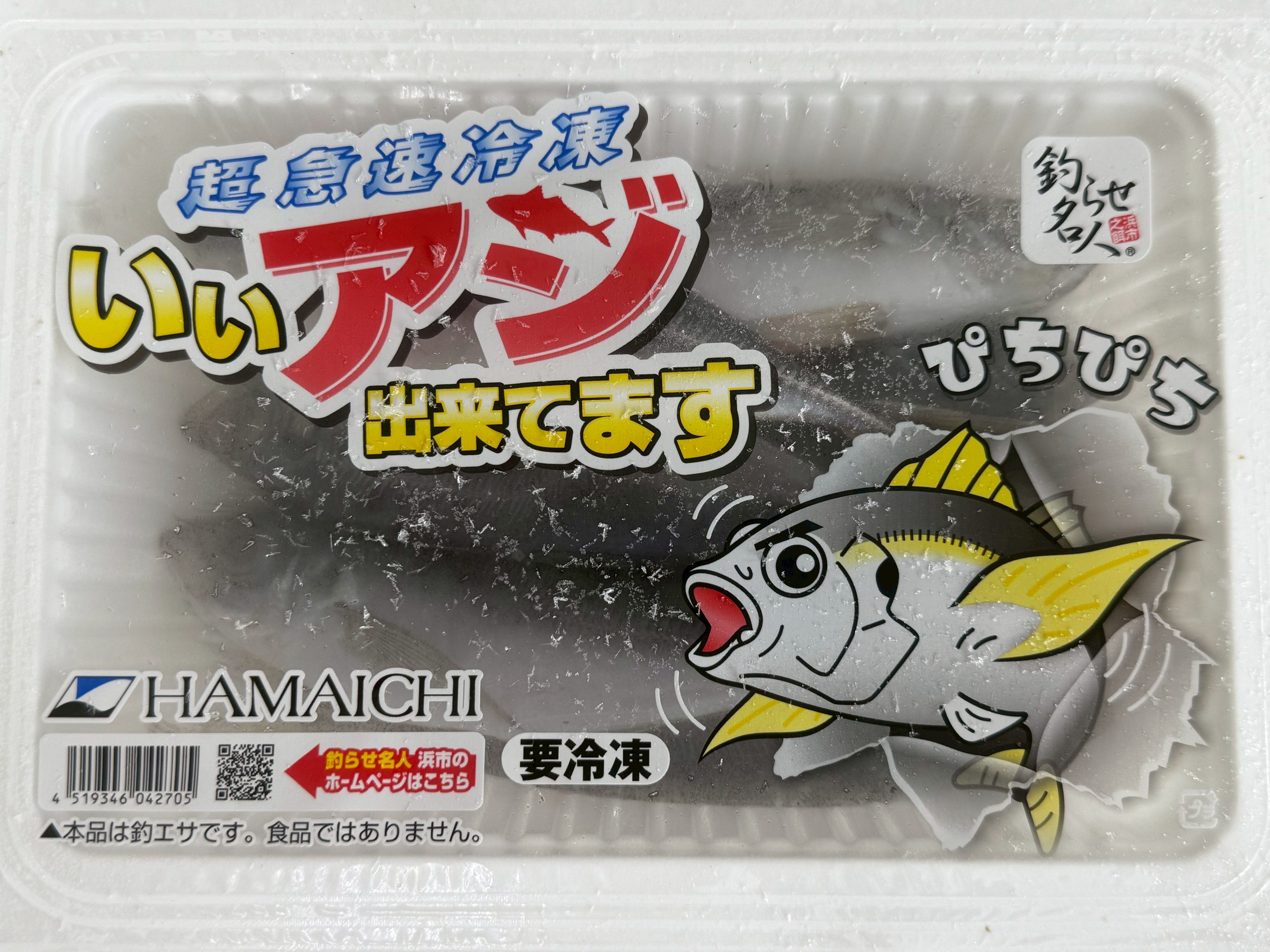 活アジがない時は冷凍アジでアオリイカ釣りましょう。釣太郎