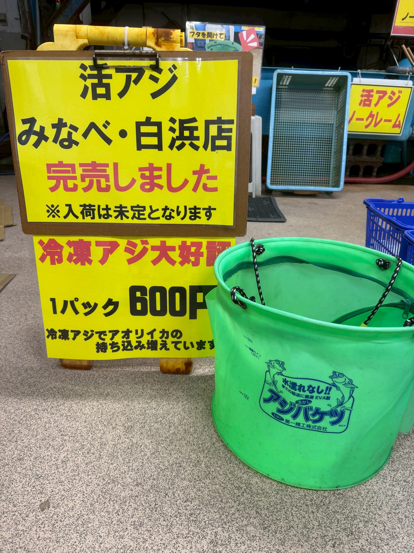 活アジ欠品ですが、毎日アジバケツもってご来店される方、電話問い合わせが数十件、連日続いています。釣太郎