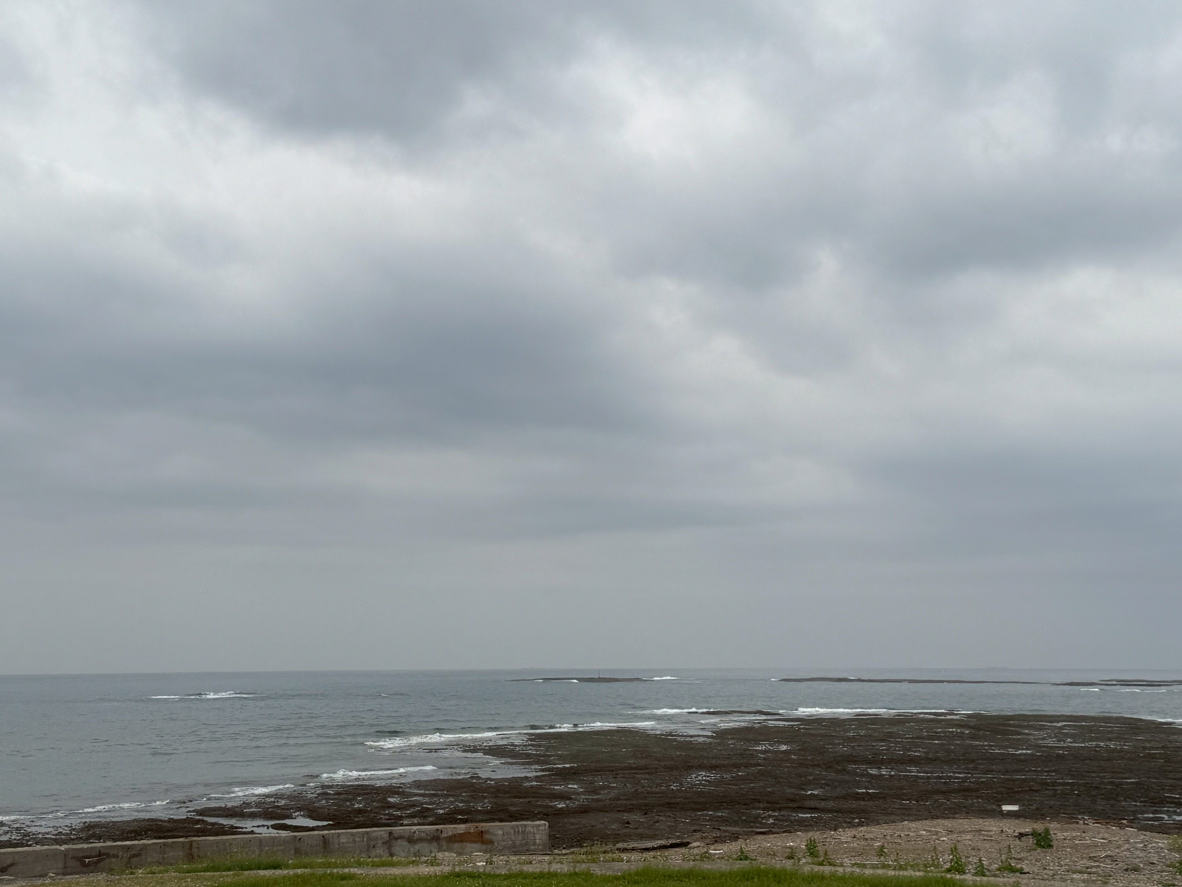 今日みたいに曇っている日は、日中d芽生アオリイカが釣りやすい。釣太郎