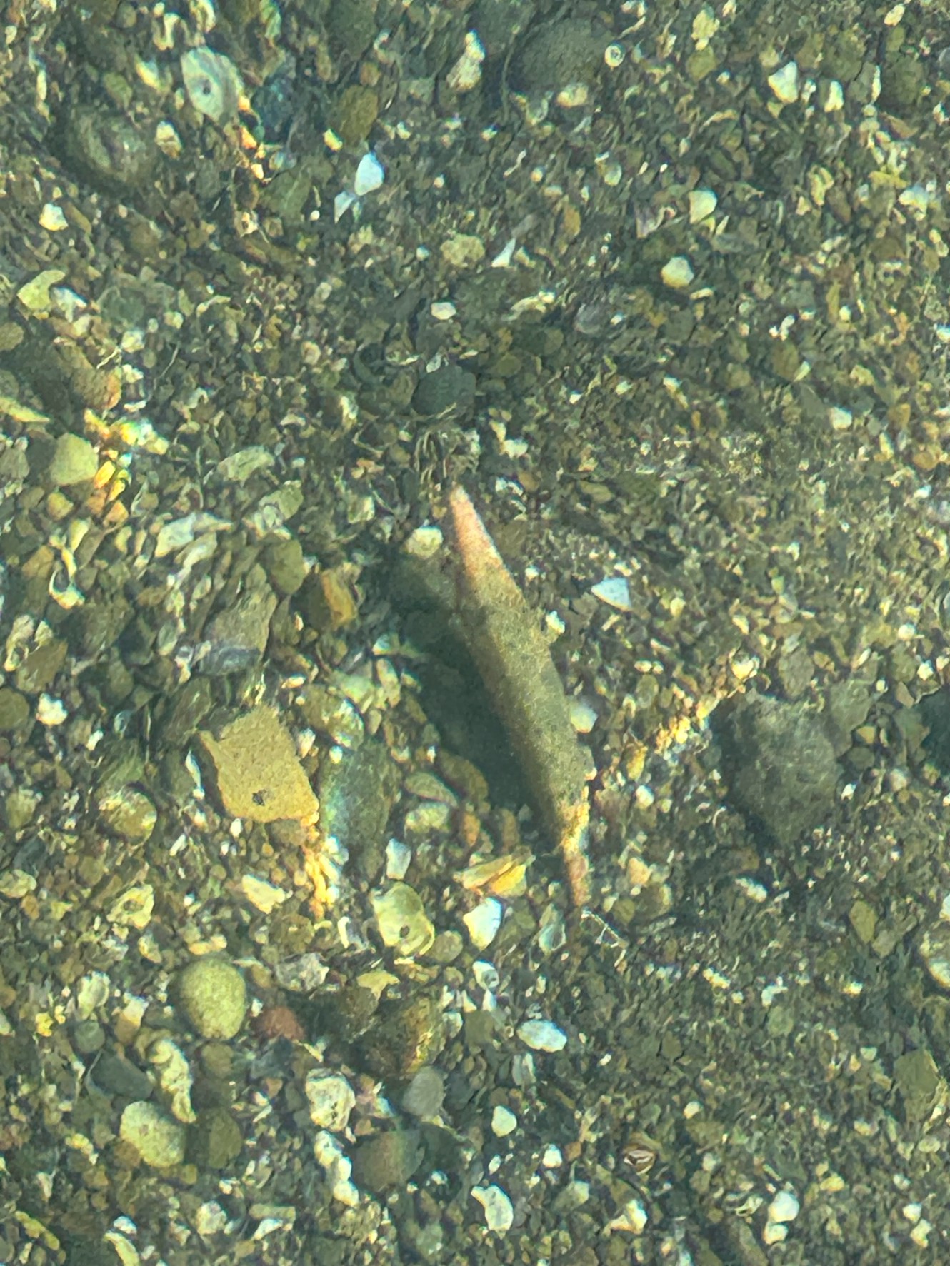 海に漂う、持ち主不在のエギ──釣り人の夢を映す遺物。釣太郎