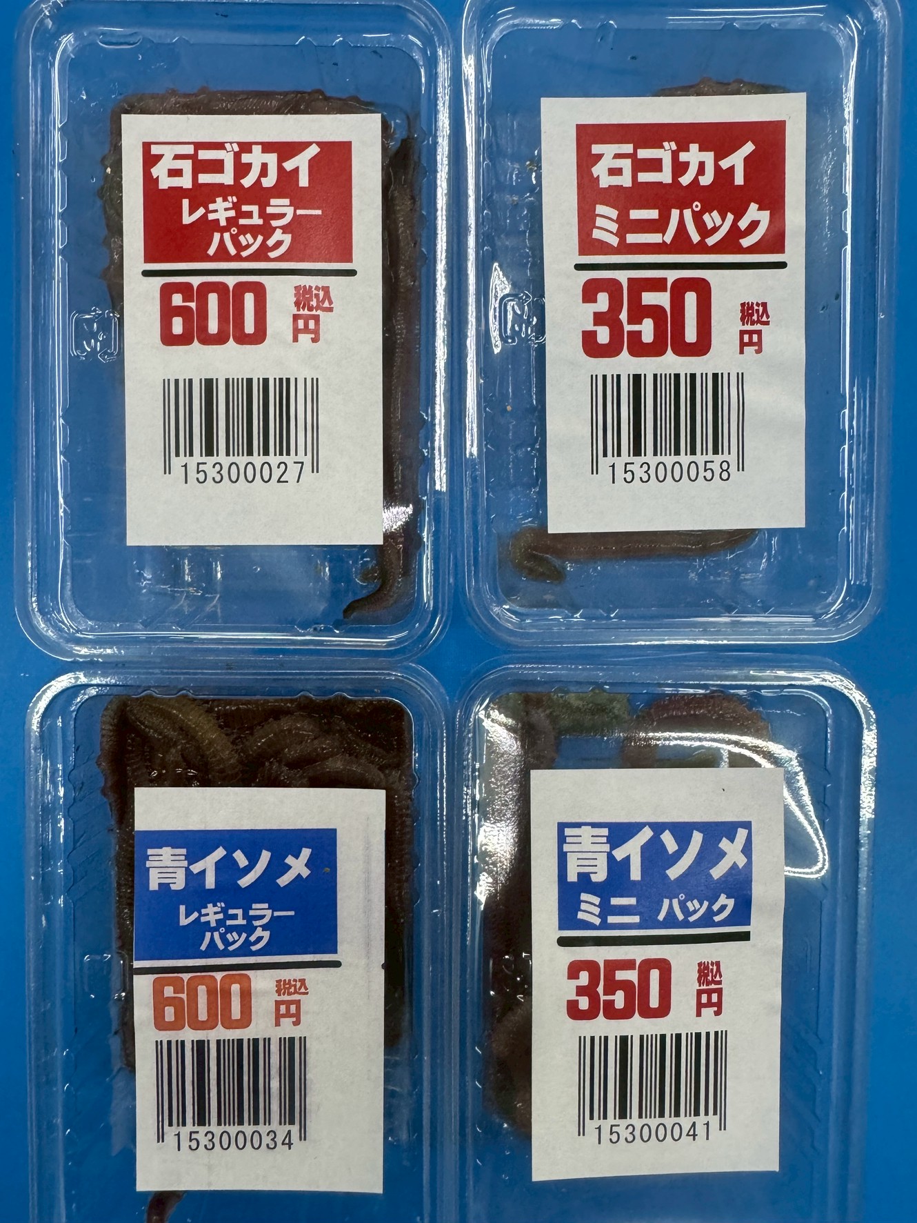 【初夏は虫エサの季節!】石ゴカイ・青イソメを持って釣りに行こう!釣太郎