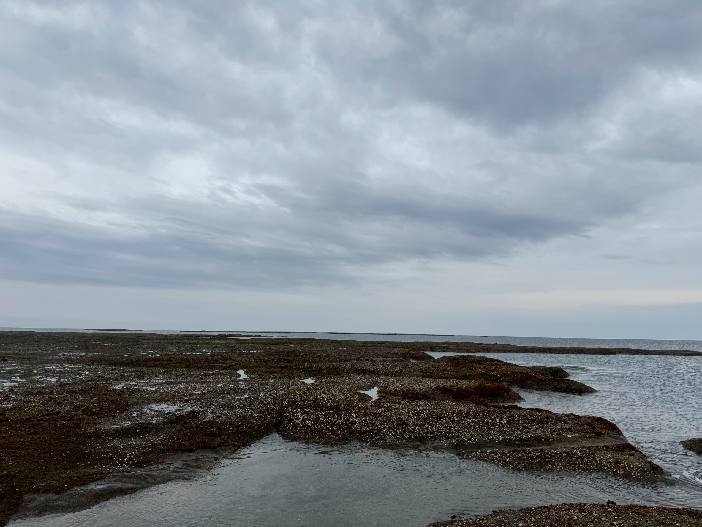 梅雨時期の海のコンディションは?魚は?アオリイカは?釣太郎