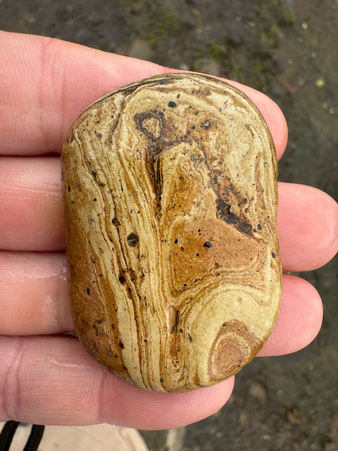 【自然のアート】模様が浮き出る不思議な小石の正体とは?釣太郎