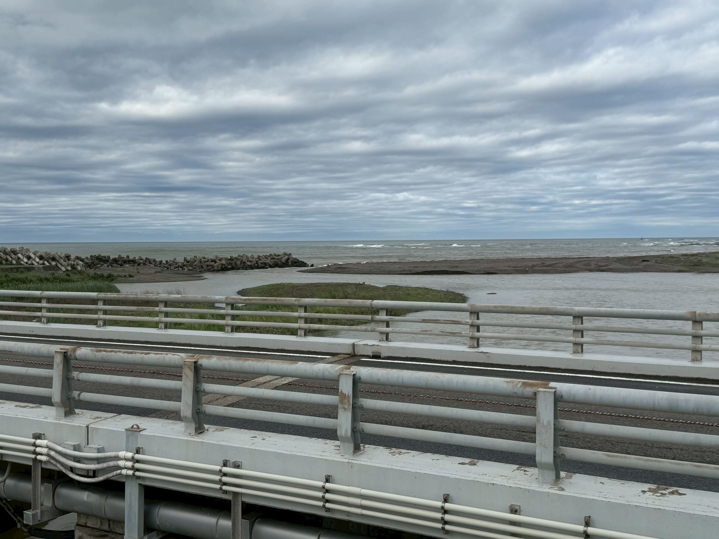 大雨の後、海が茶色く濁る「水潮」とは？原因・期間・影響を徹底解説【釣り人必見】釣太郎