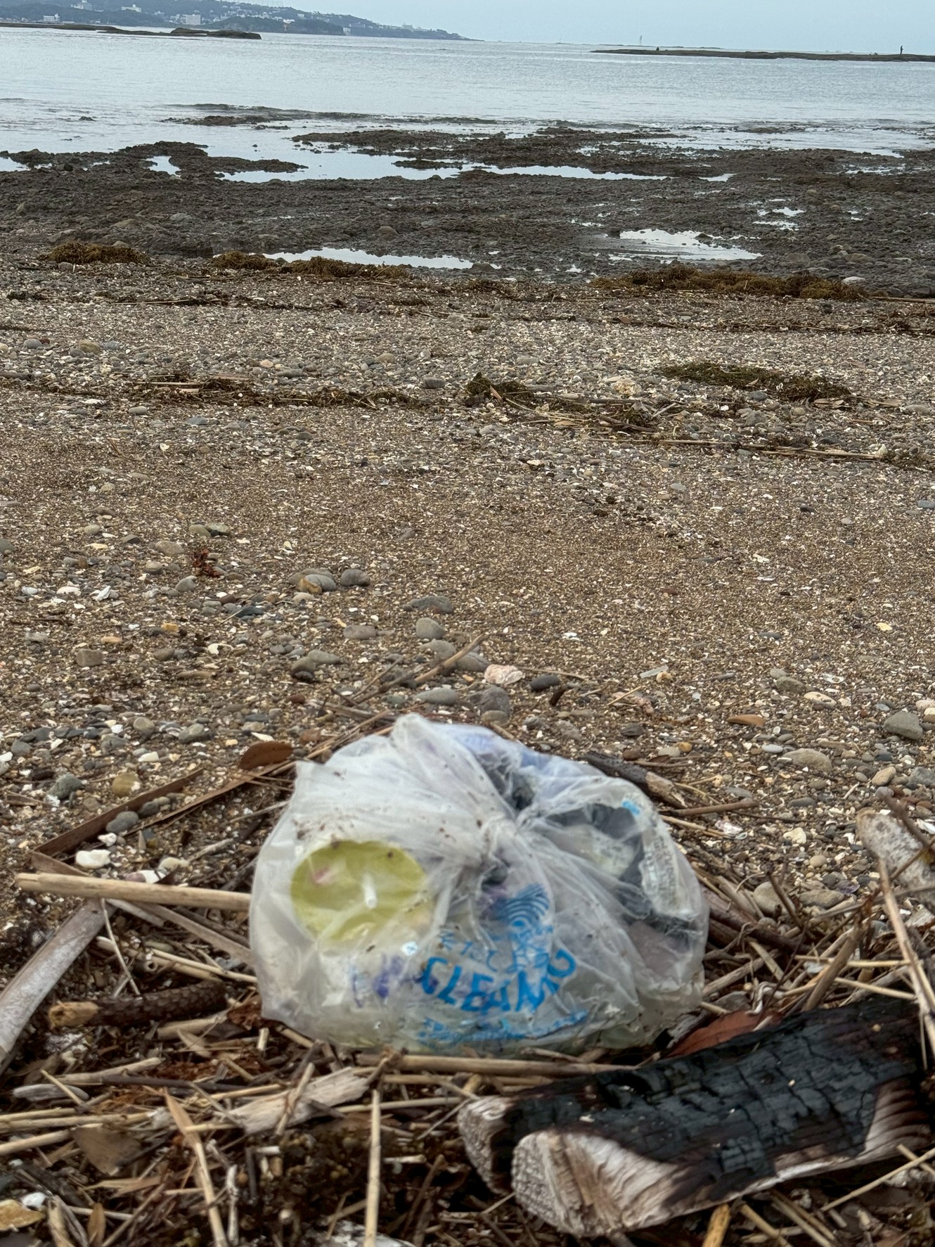 海にごみを捨てる釣り人は何％？──それは海洋ごみ全体の何％にあたるのか？【釣り人が守る海の未来】釣太郎