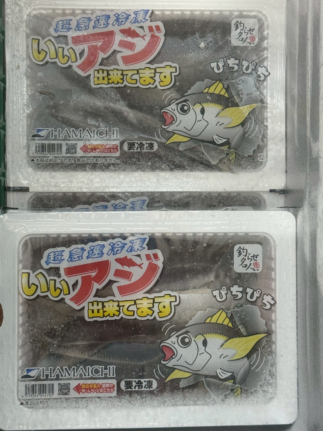 活アジがないときは、冷凍アジでアオリイカ釣りましょう。非常に売れています。釣太郎