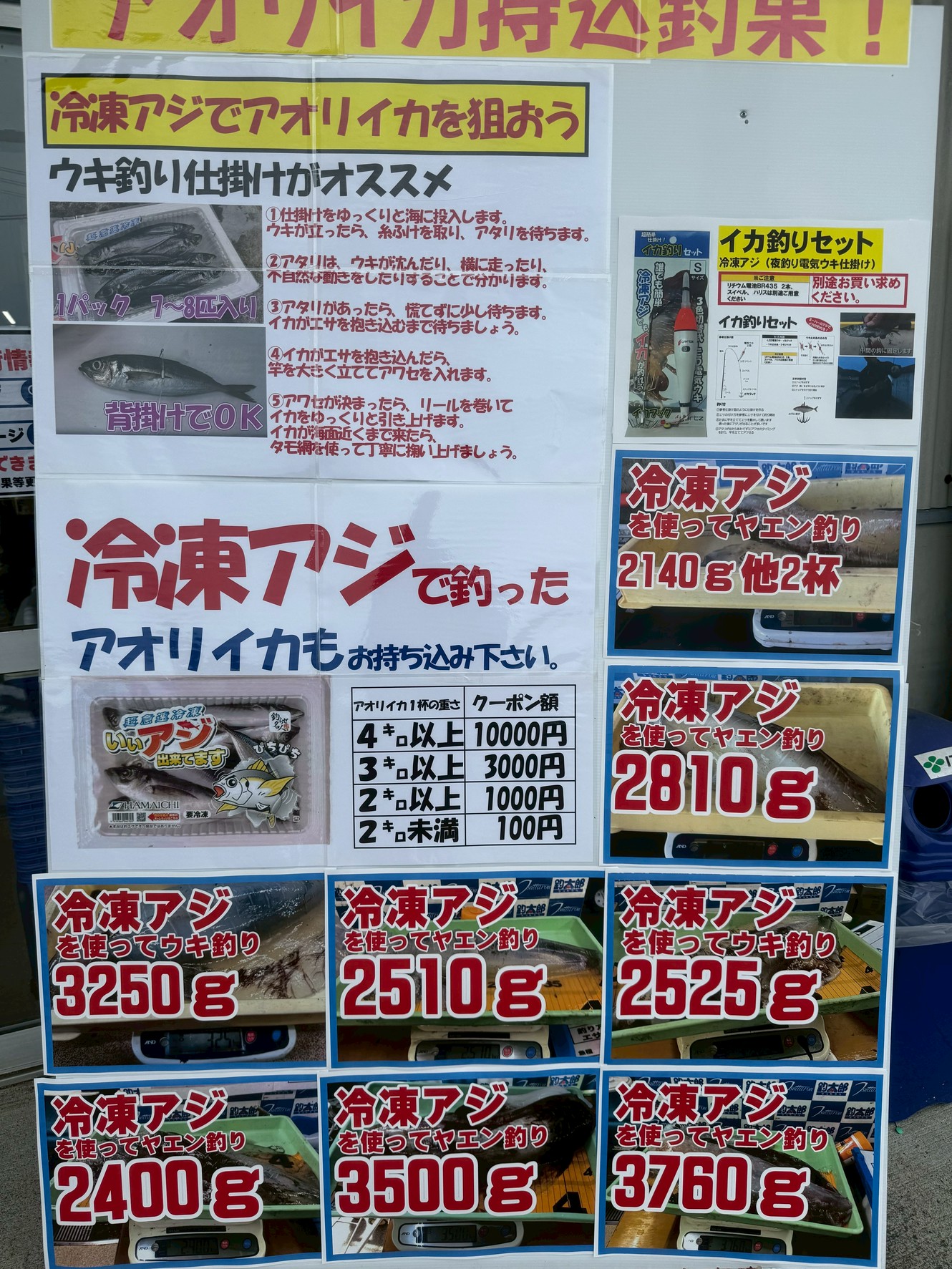 冷凍アジで釣ったアロリイカ釣果ボードに貼り出しています。釣太郎