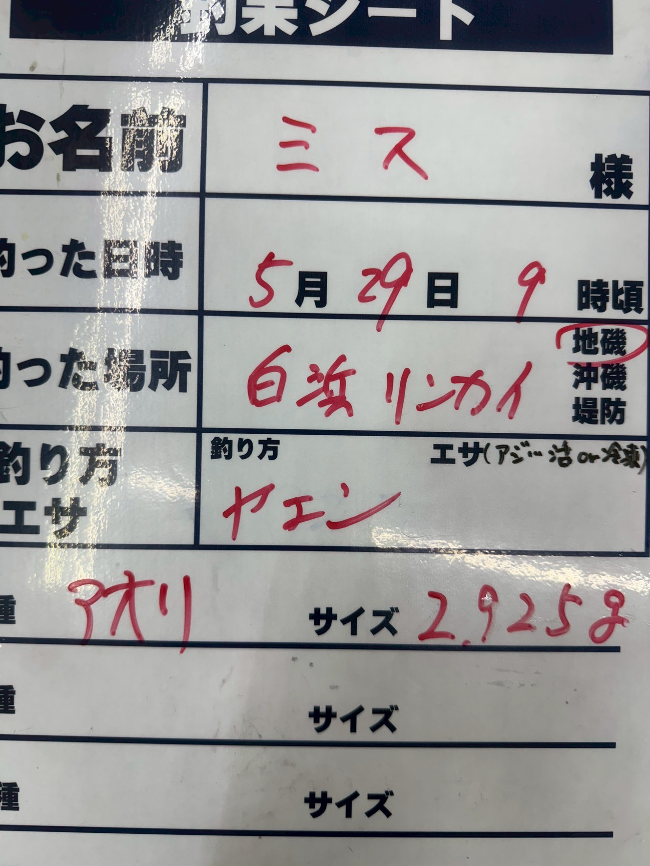 アオリイカ2925gの釣果。ヤエン釣り。白浜臨海で。釣太郎