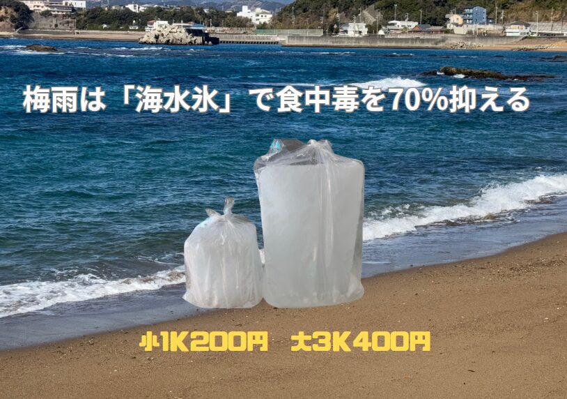 【梅雨～猛暑の必須知識】魚の鮮度を守るなら「海水氷」が最強！その理由と実践法。釣太郎