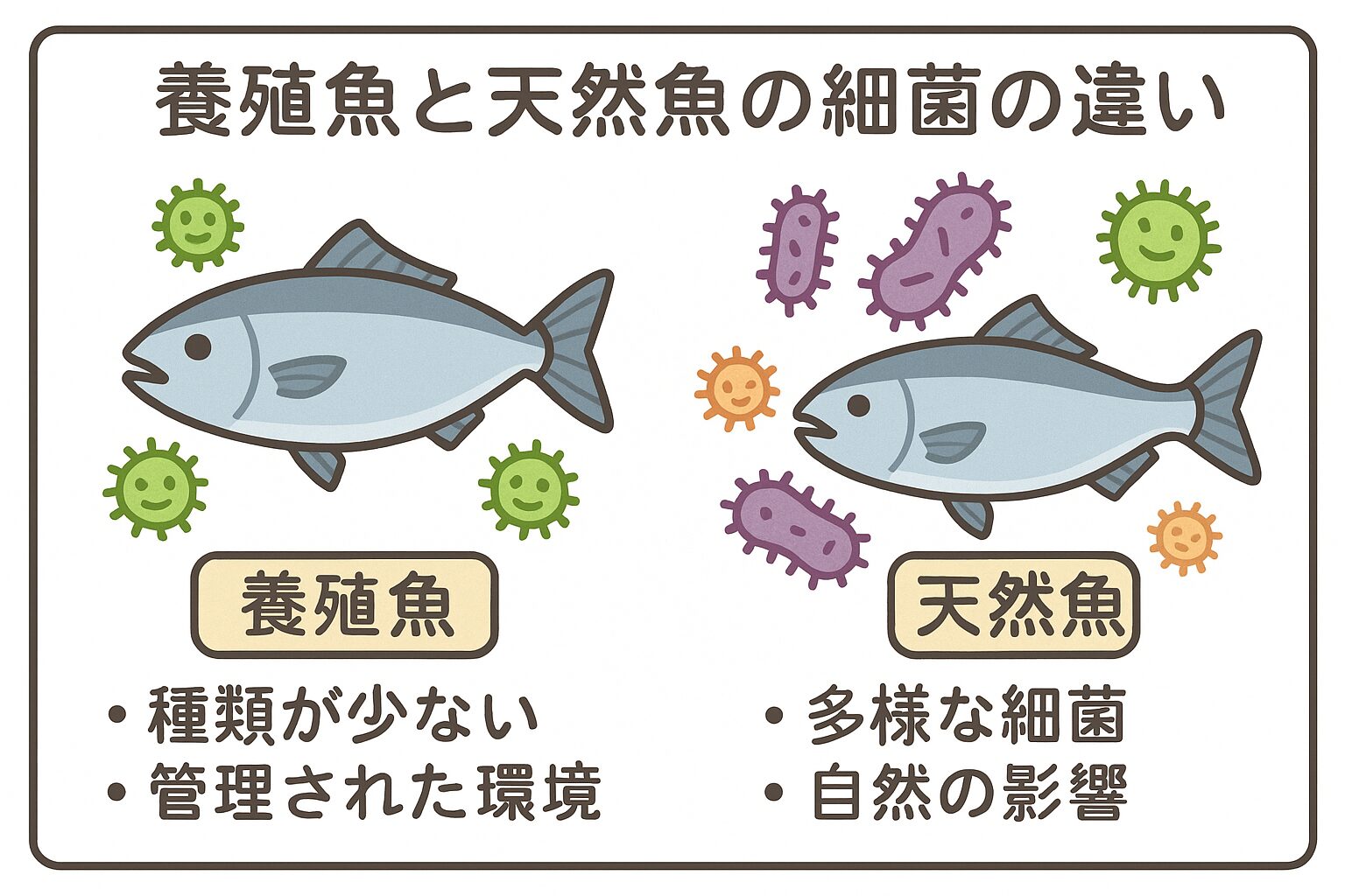 養殖魚にもバクテリア（細菌）は付着していますが、天然魚よりはコントロールされているのが一般的。釣太郎