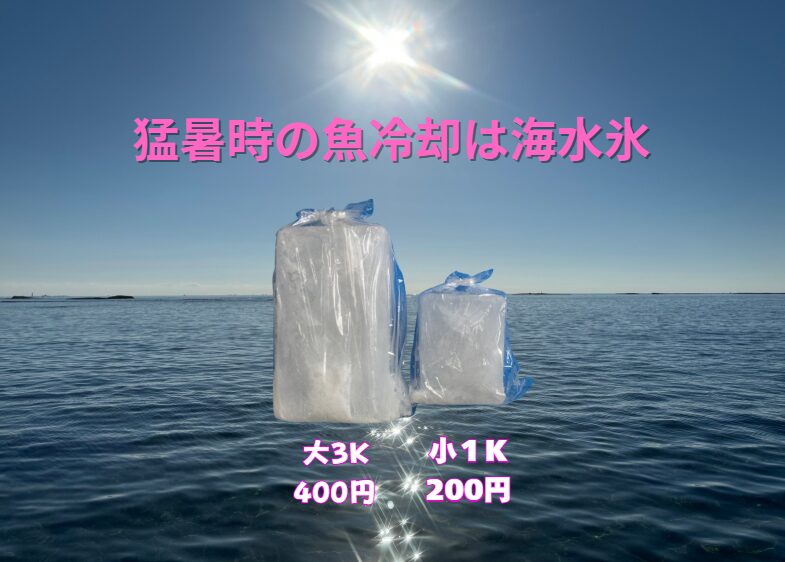 「海水氷に変えてから、魚の目がきれい」「傷みにくい」「家族が安心して食べる」圧倒的人気を誇る釣太郎の海水氷大3キロ強で400円。