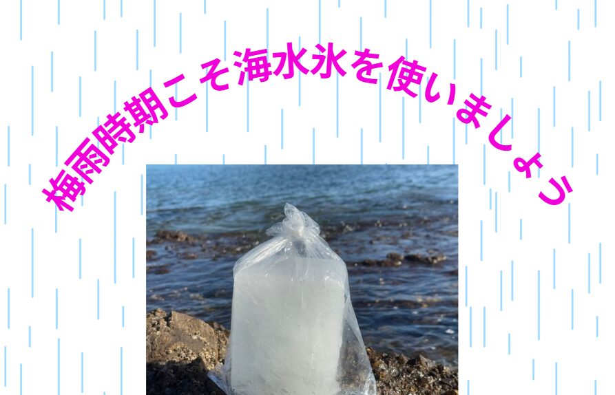 梅雨時期の魚の保存、海水氷で70%の食中毒リスクを軽減!その理由と活用術【釣り人必見】釣太郎