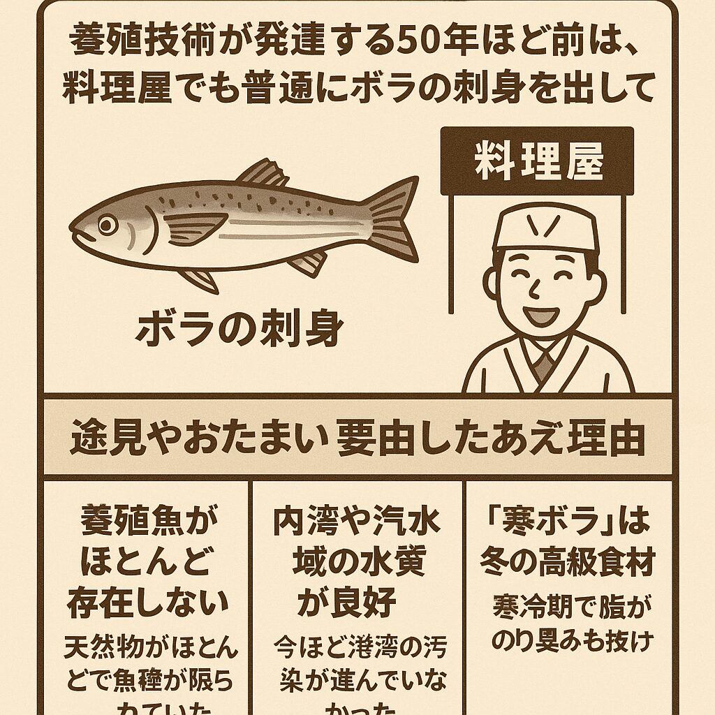 かつてボラの刺身が普通だった時代があった。釣太郎