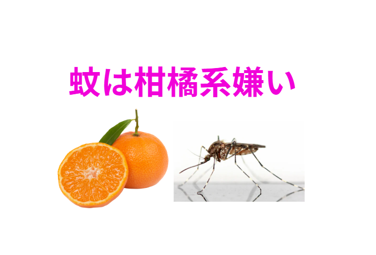 蚊が嫌うもの徹底解説!知って得する「蚊よけ」の秘密兵器。釣太郎