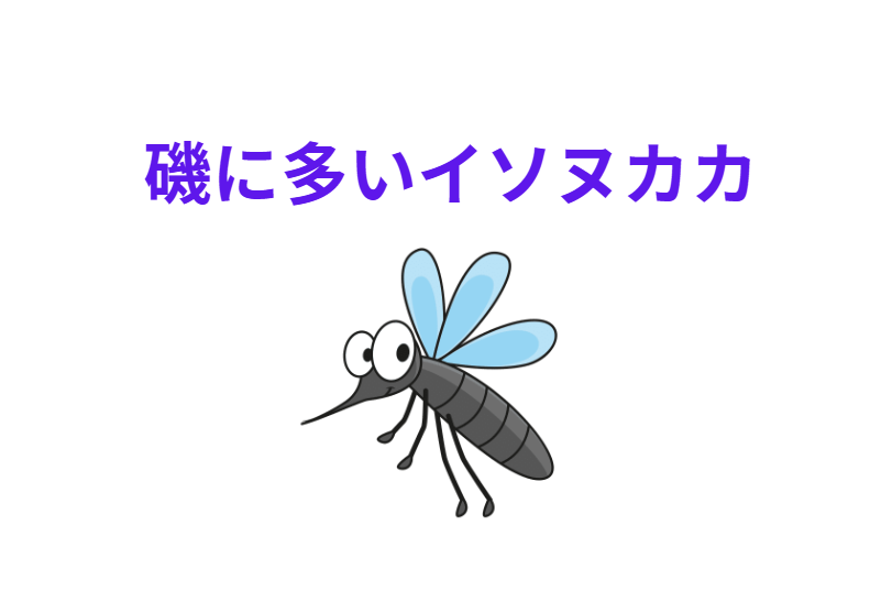 釣り人必見！イソヌカカ（潮溜まり蚊）の猛威と対策を徹底解説！釣太郎