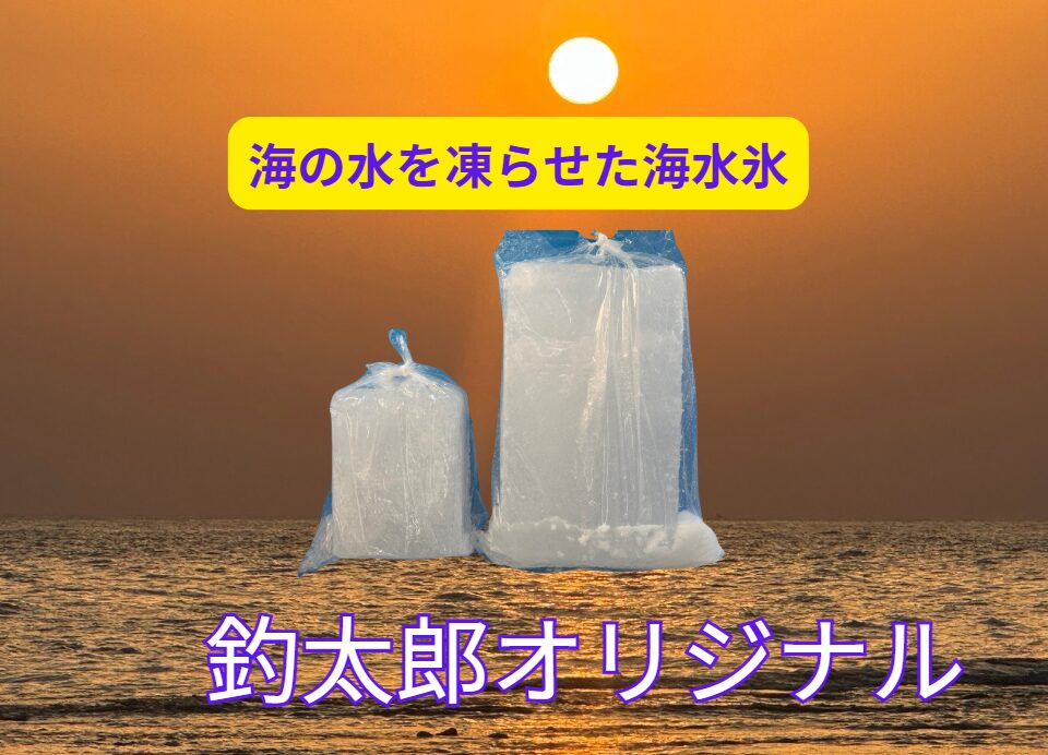 7月の和歌山釣行は「海水氷」で鮮度をキープ！釣太郎