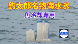暑い夏こそ！魚は海水氷でキンキンに冷やして鮮度を保とう！釣太郎