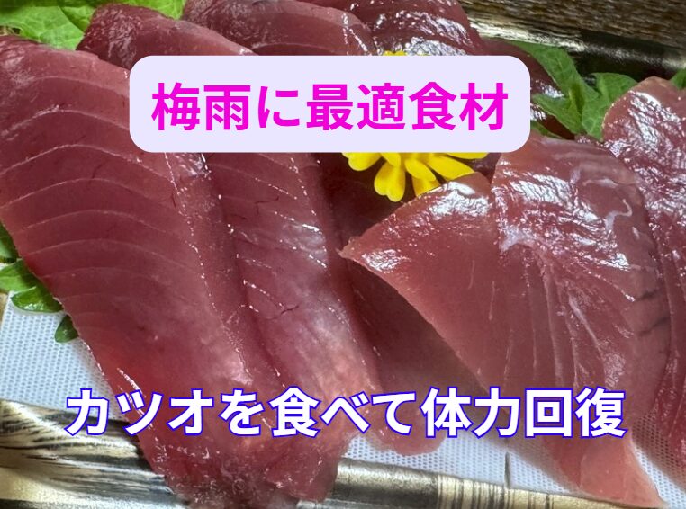 カツオで梅雨の不調を吹き飛ばし、元気に乗り切ろう!釣太郎