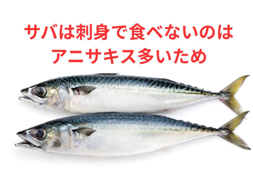 天然のサバの50%以上、種類や地域によっては70%以上もの個体にアニサキスが寄生している。釣太郎