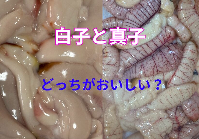【白子と真子】なぜ白子ばかり有名なの？魚の卵（真子）はイクラに匹敵するのか？釣太郎