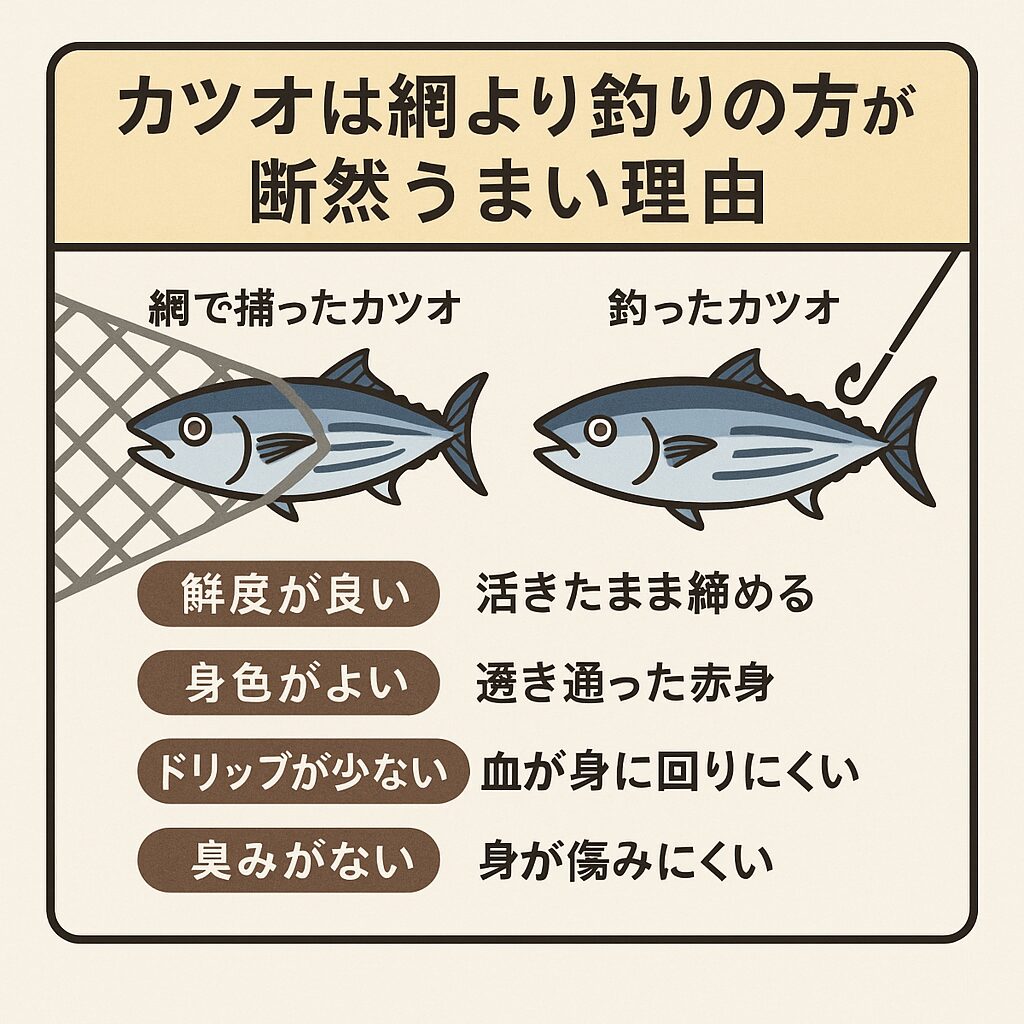 カツオは網より釣り！一本釣りカツオが圧倒的に美味しい理由。釣太郎