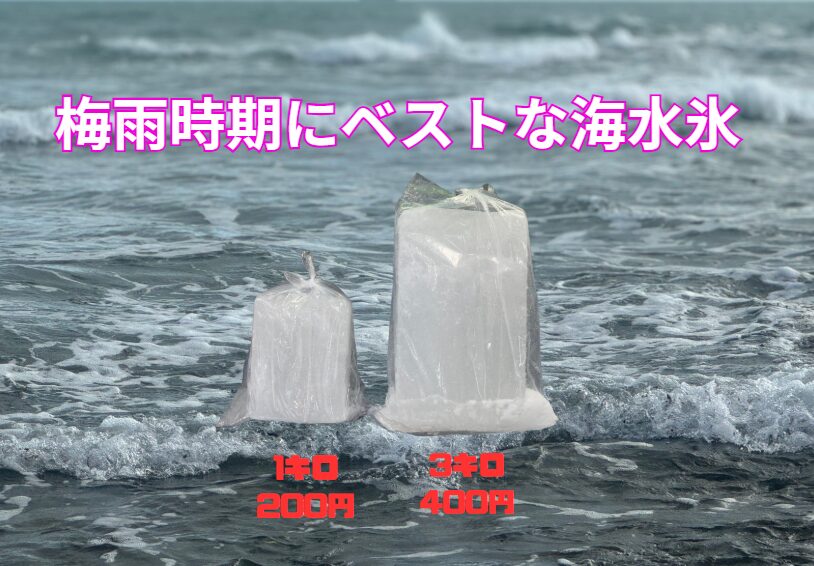 梅雨時期は海水で作他海水氷がベスト。食中毒対にも有効。釣太郎