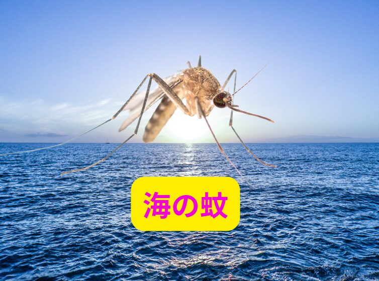 海には多種多様の蚊が生息している。海に蚊はいないは大いなる幻想。釣太郎