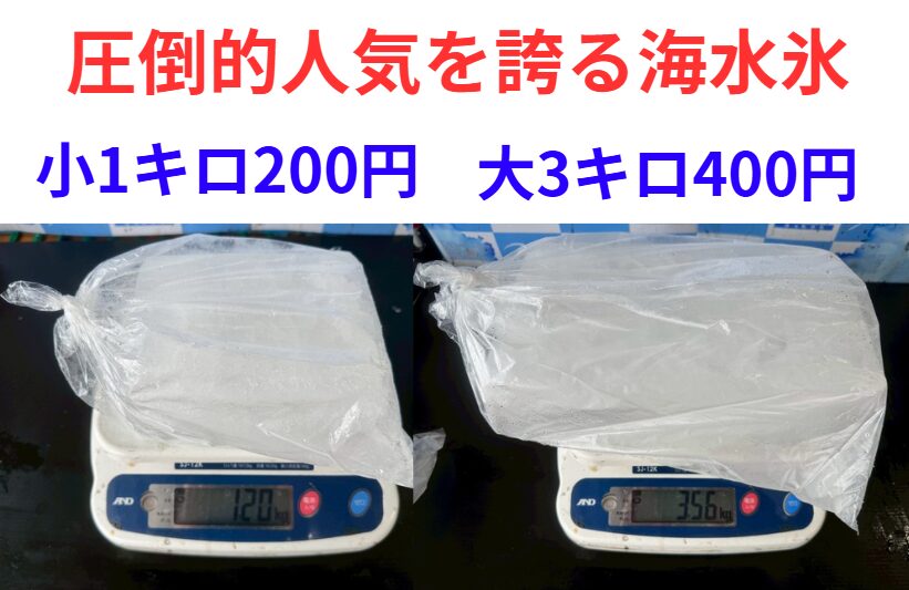 【魚に優しい海水氷】釣太郎名物！釣り人絶賛の鮮度キープ術｜1kg200円・3kg400円(税込)