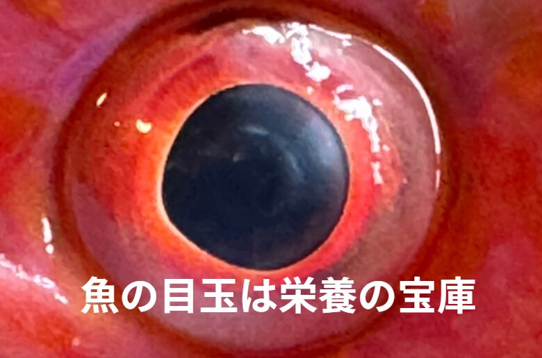 魚の目玉は栄養の宝庫。釣太郎