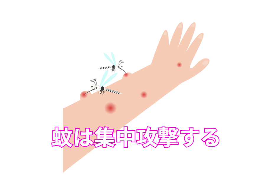 蚊は集中攻撃する。釣太郎