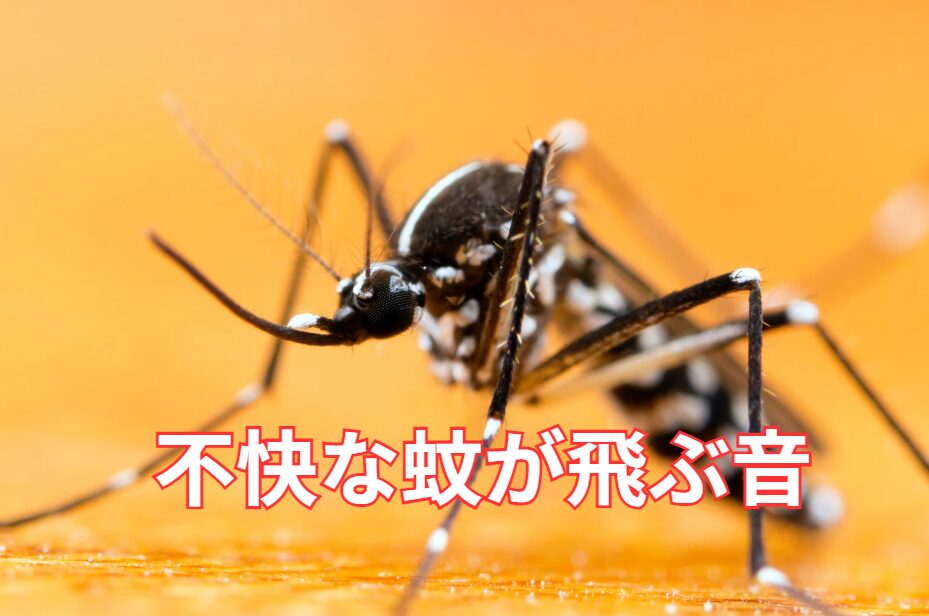 蚊の「ブーン」という羽音はなぜこんなに不快なのか？科学的根拠説明。釣太郎