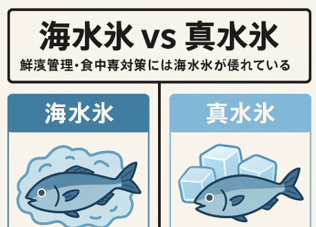 夏場の魚冷却には「海水氷」が最適. 釣太郎