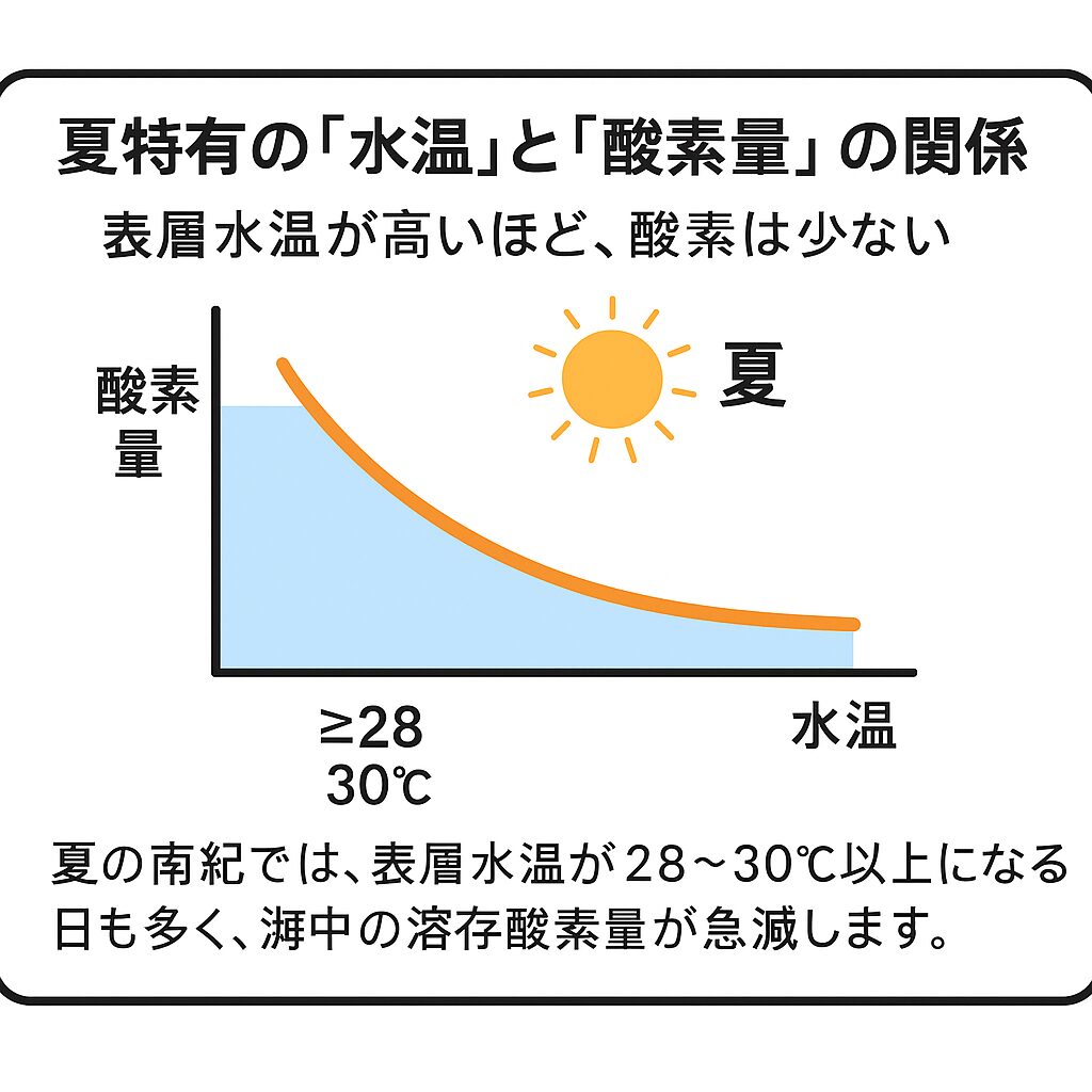 夏特有の「水温」と「酸素量」の関係 表層水温が高いほど、酸素は少ない。夏の南紀では、表層水温が28〜30℃以上になる日も多く、海中の溶存酸素量が急減します。釣太郎
