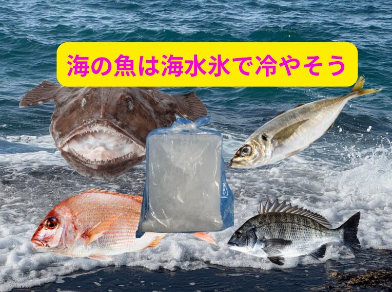 海の魚は「海水氷」で冷やすのが一番！夏場こそ効果絶大な理由をAIが徹底解説。釣太郎