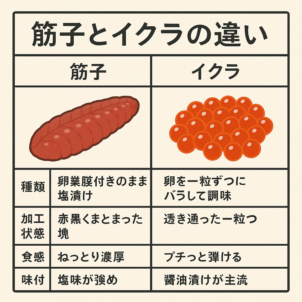 筋子とイクラの違いとは?鮭の卵の意外な真実と選び方ガイド。釣太郎