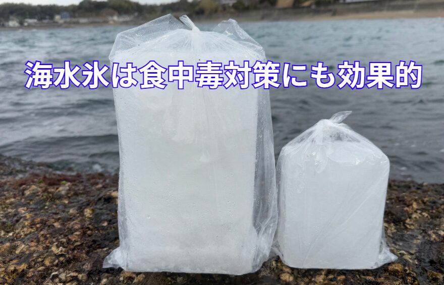 気温25度を超えたら「迷わず海水氷」！これは魚冷却専用。釣太郎