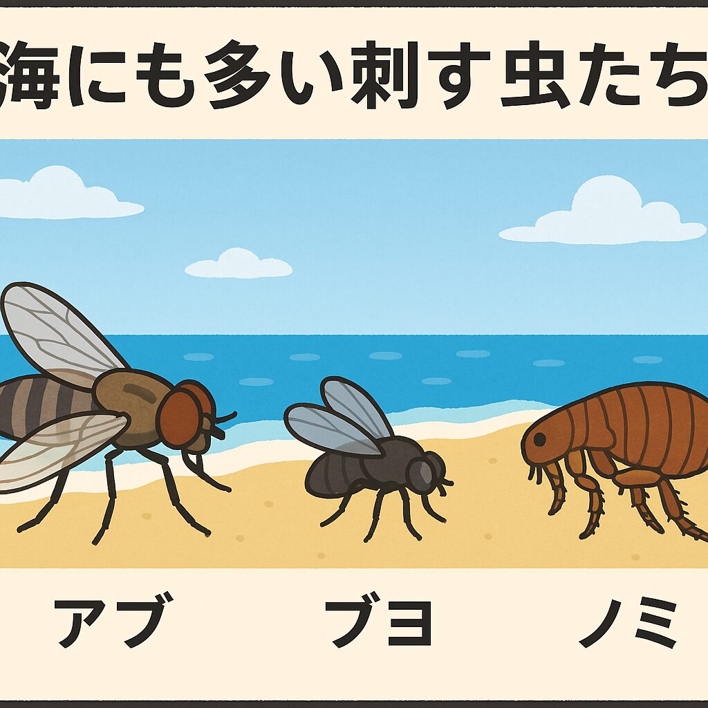海の刺す虫対策：蚊、アブ、ブヨ、ノミから身を守る！釣太郎