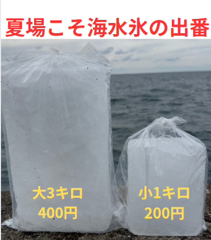 真水氷と海水氷で、雑菌や毒素の発生率にどれほど差が出るのか？【AI分析】釣太郎