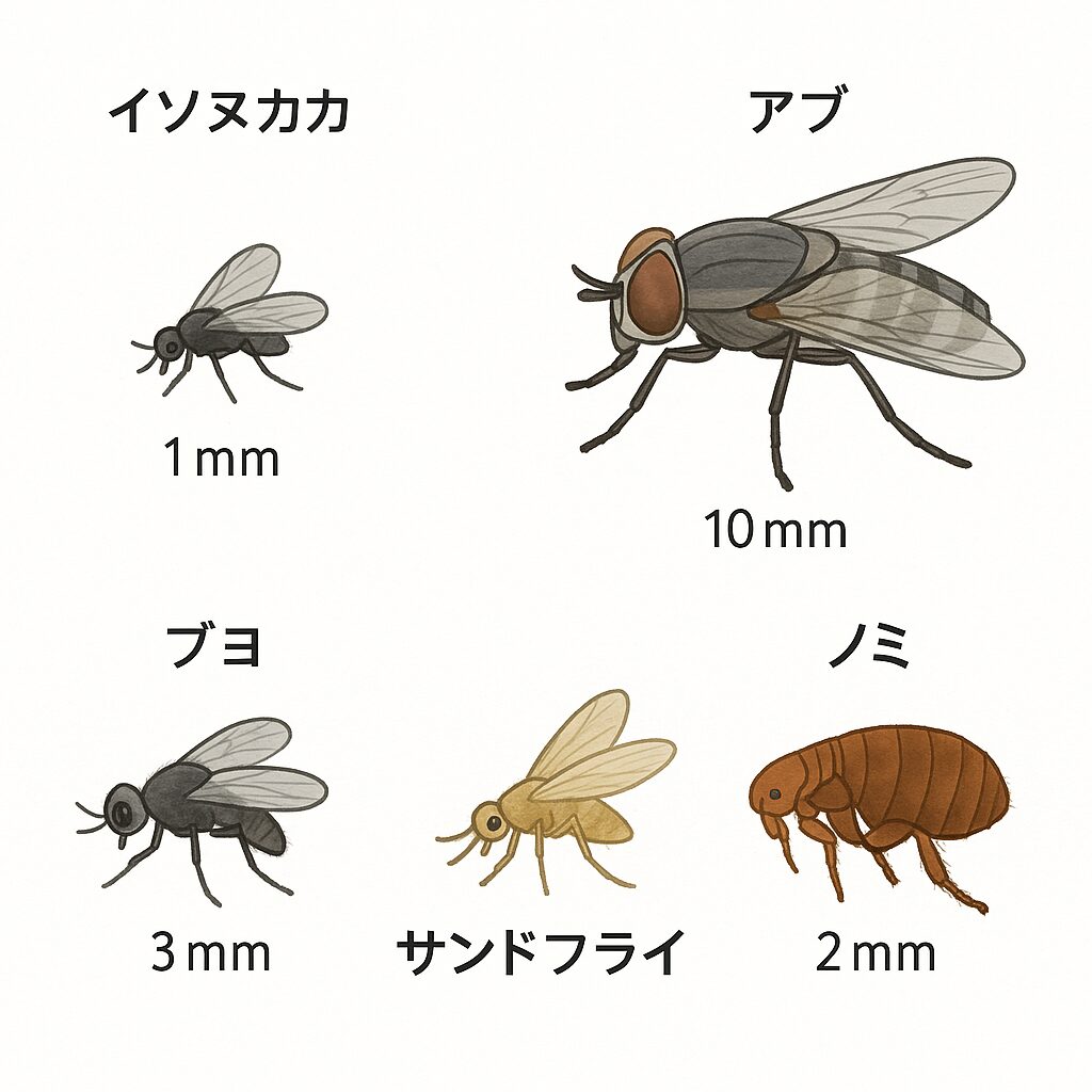 海にも多くの刺す虫が存在する!イソヌカカ・アブ・ブヨ・サンドフライ・ノミ。釣太郎