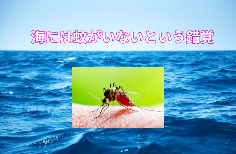 「海には蚊がいない」という錯覚は、実は多くの人が陥りがちな誤解です。釣太郎