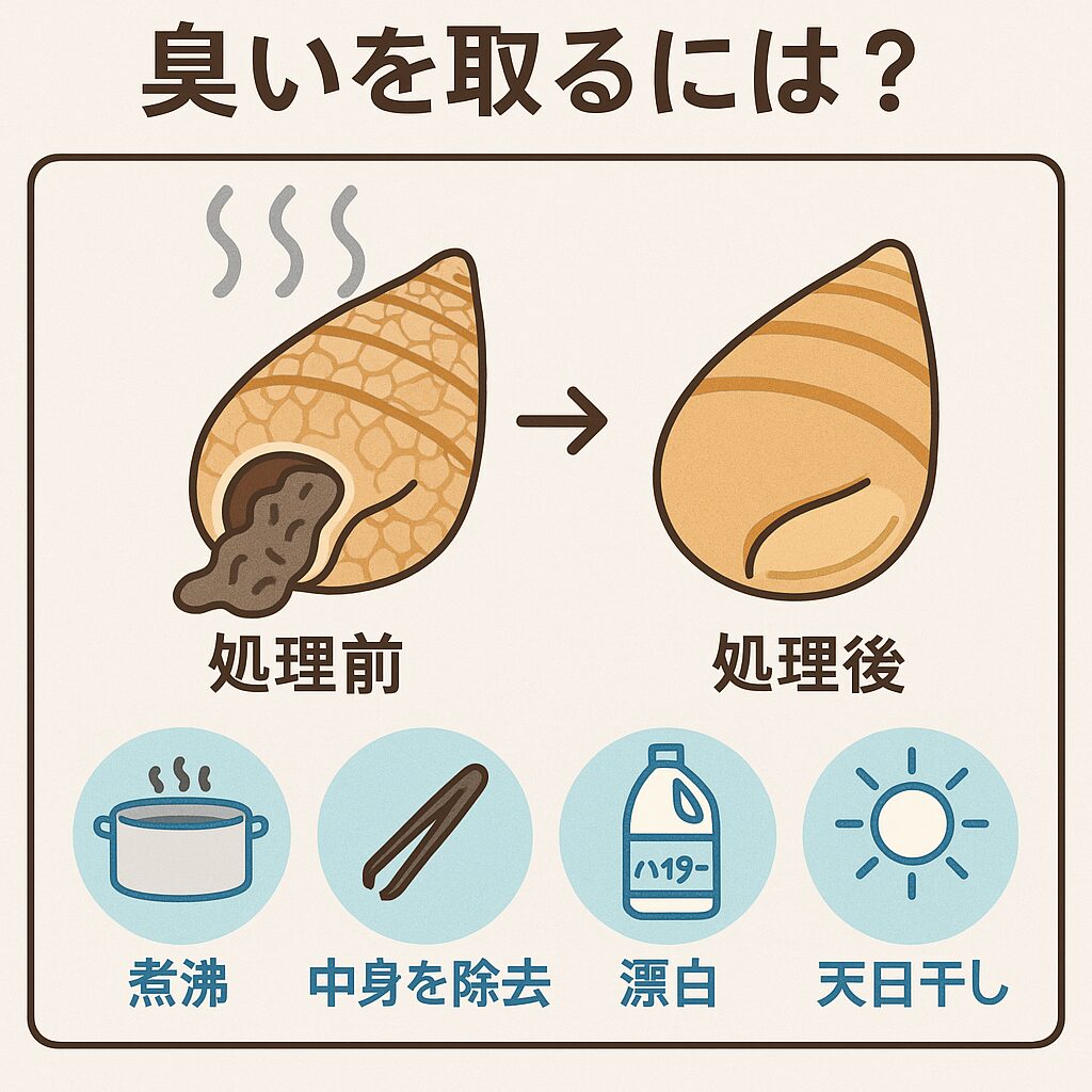 砂浜で拾った「綺麗だけど臭い貝殻」、よくありますね。これは中にまだ軟体部（身）が腐敗して残っているからで、放っておくと強烈な悪臭になります。釣太郎